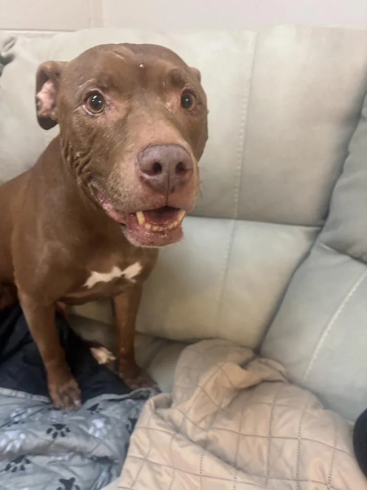 Coco Loco thumbnail 3