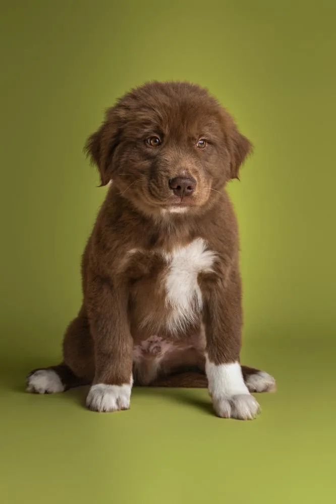 Walter Harvey thumbnail 4