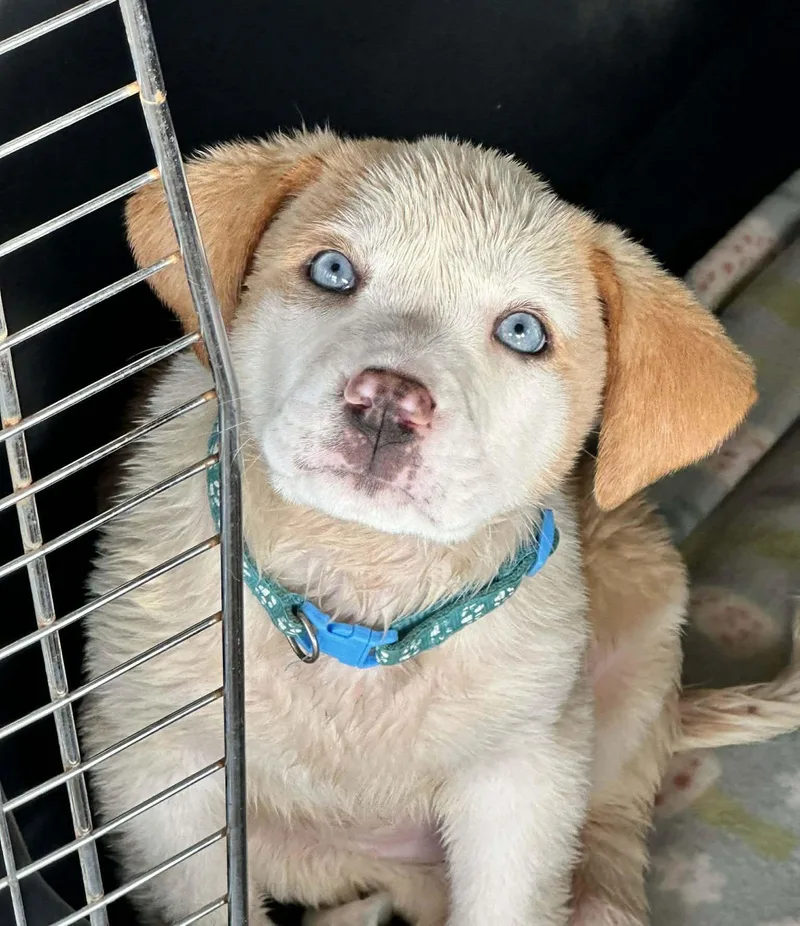 Bedtime Bear Eg In thumbnail 2