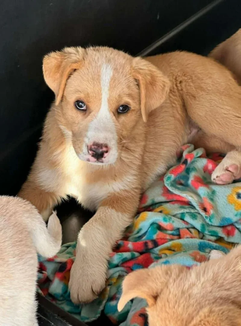 Birthday Bear Eg In thumbnail 2