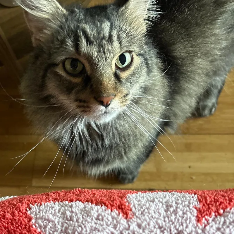 Wesley  Home To thumbnail 2