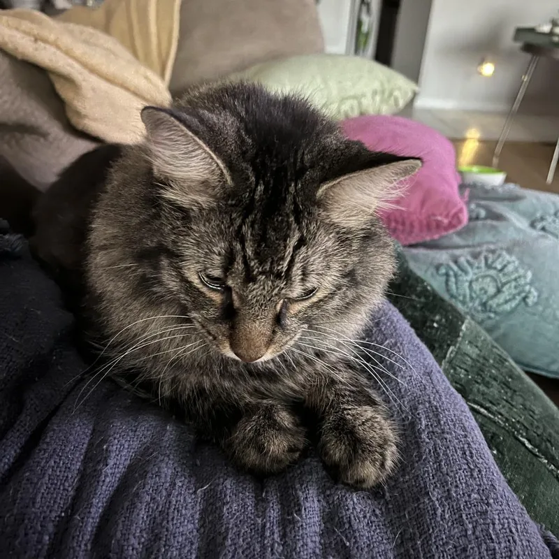 Wesley  Home To thumbnail 3