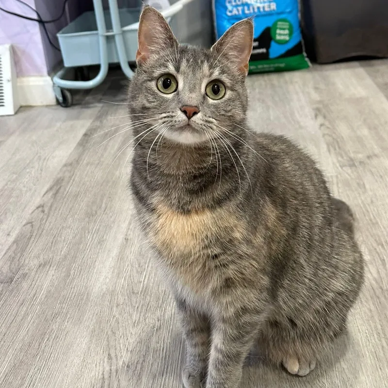 Lunaand Luca thumbnail 3