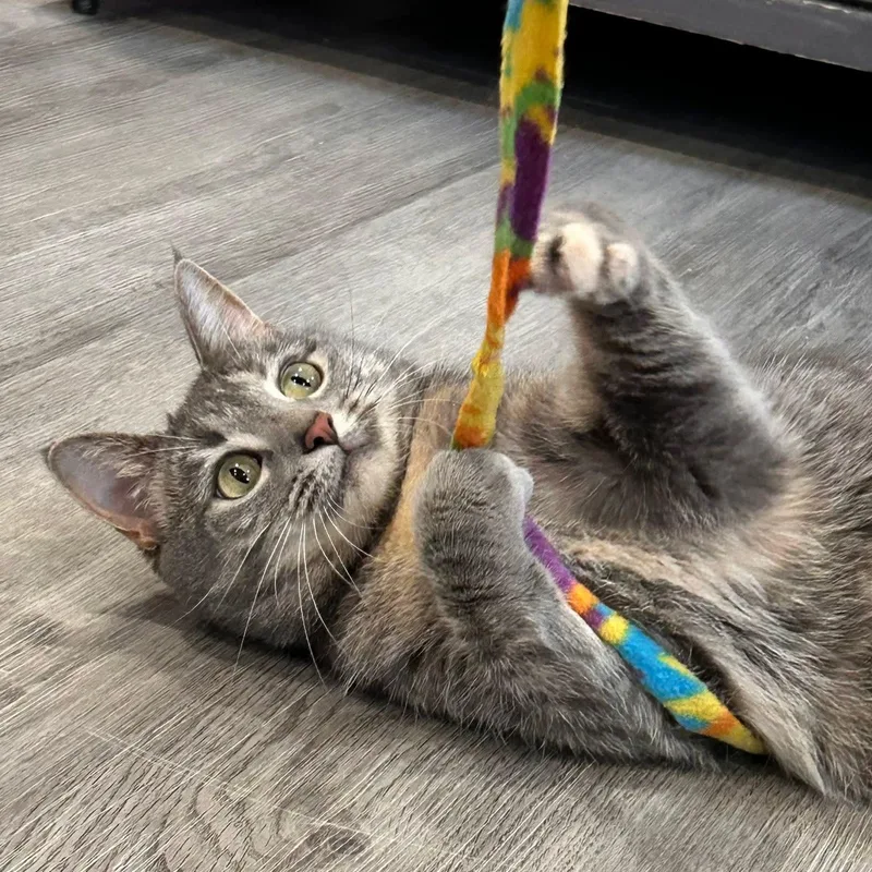 Lunaand Luca thumbnail 4