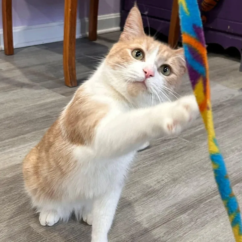 Lunaand Luca thumbnail 5