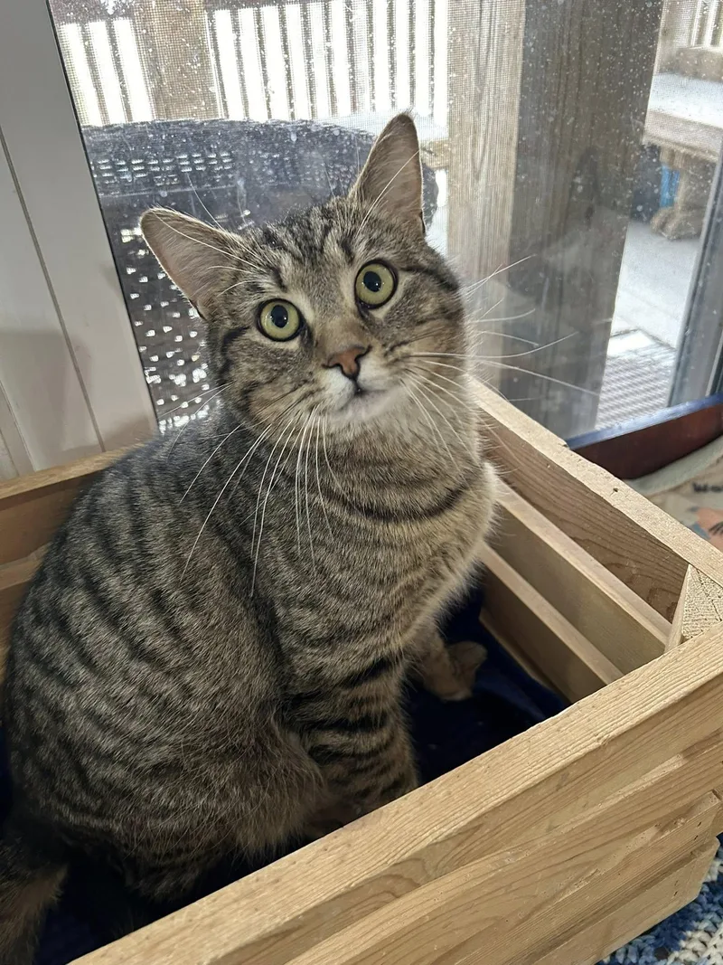 Dark Roast Danny thumbnail 3