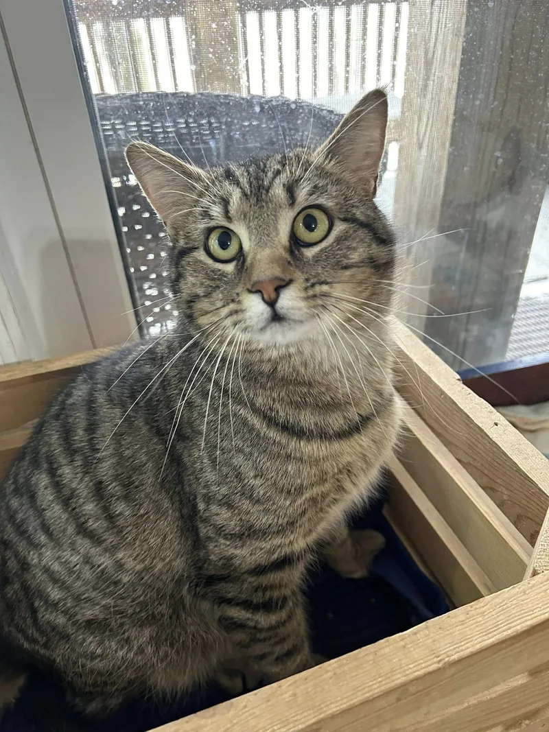 Dark Roast Danny thumbnail 4