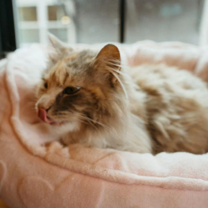 Sunshine thumbnail 2