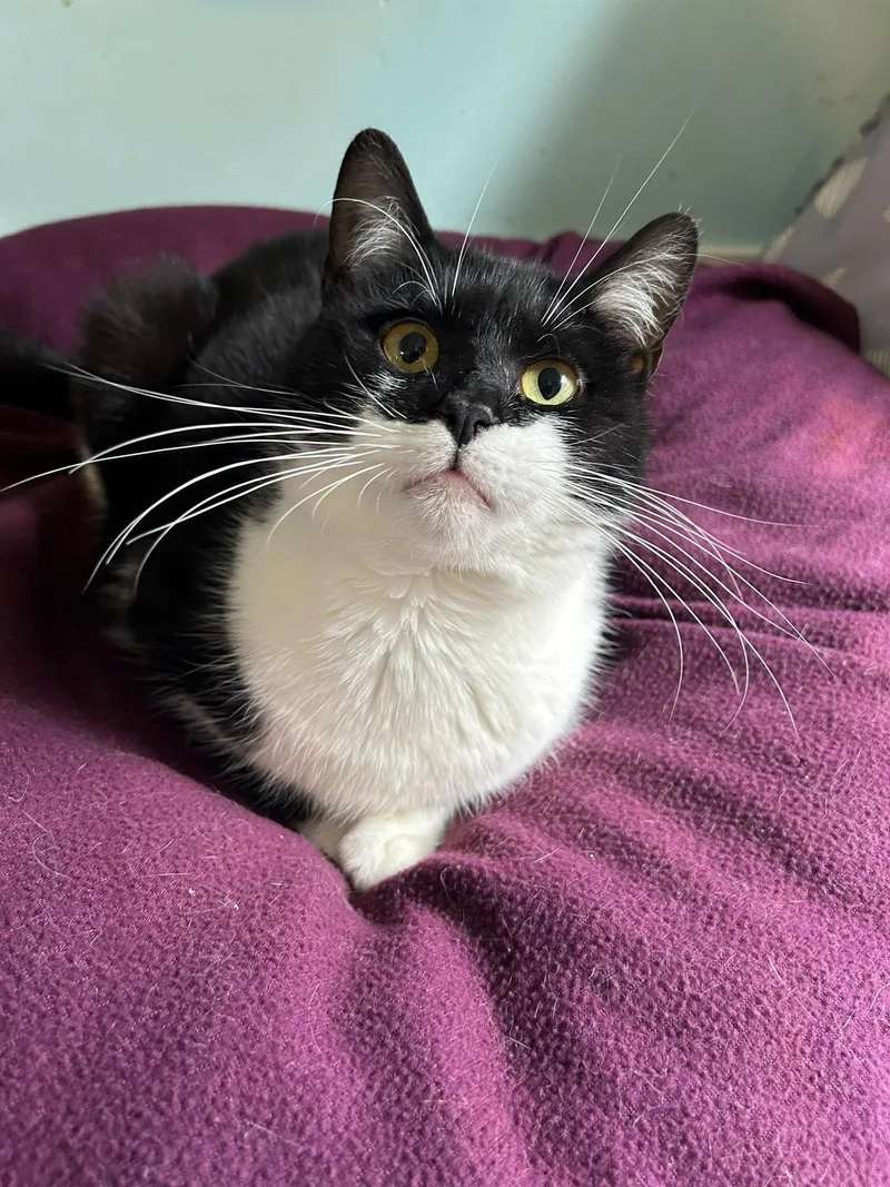 Bruce Wayne thumbnail 2