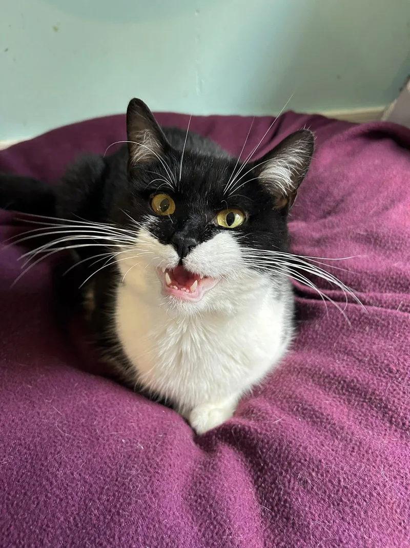 Bruce Wayne thumbnail 4