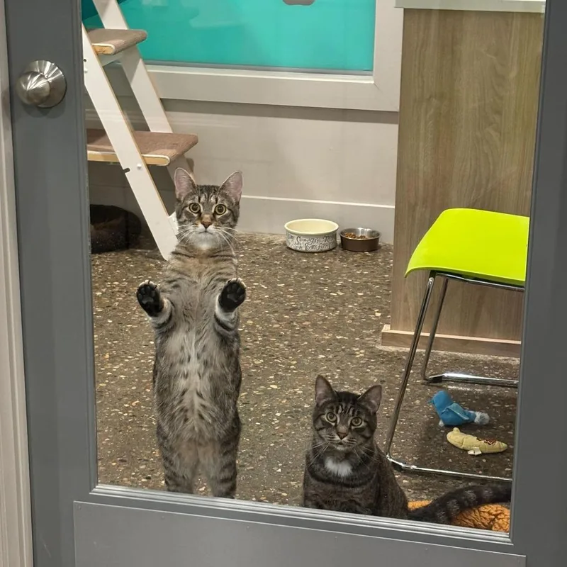 Nintendo thumbnail 2