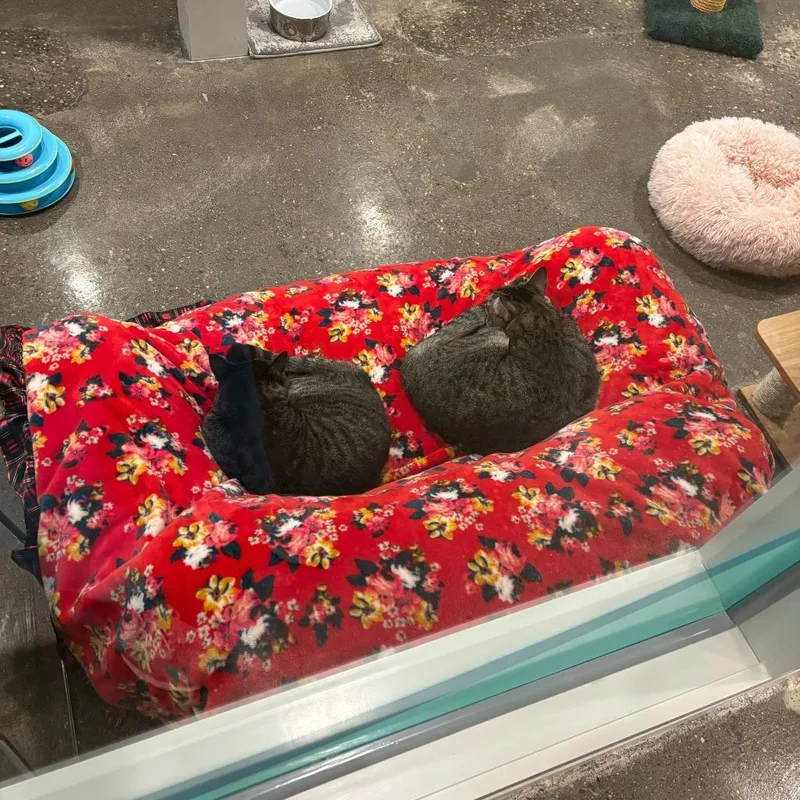 Nintendo thumbnail 3