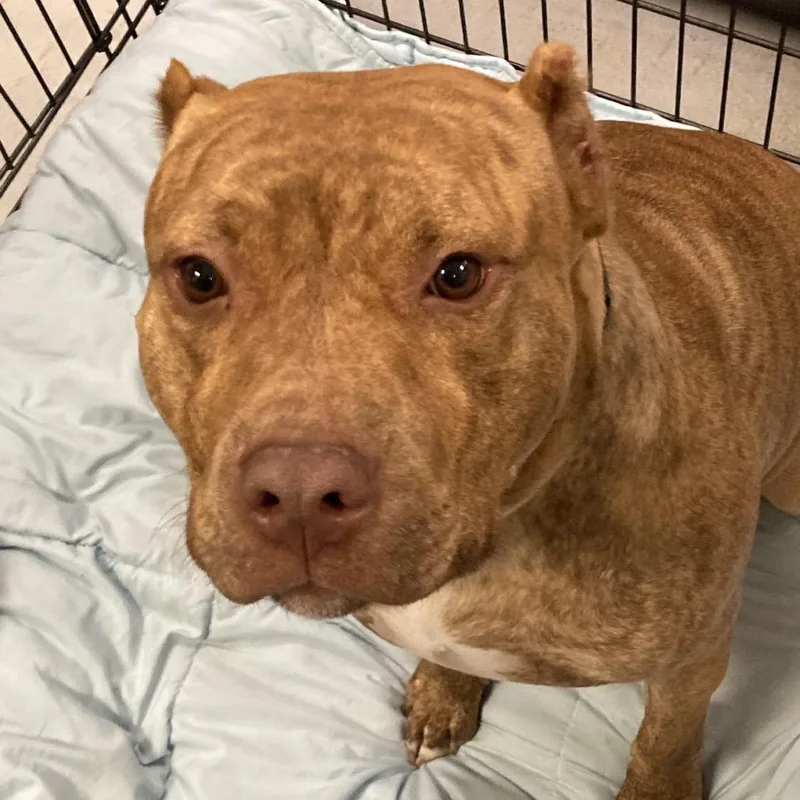 Coco Loco thumbnail 2