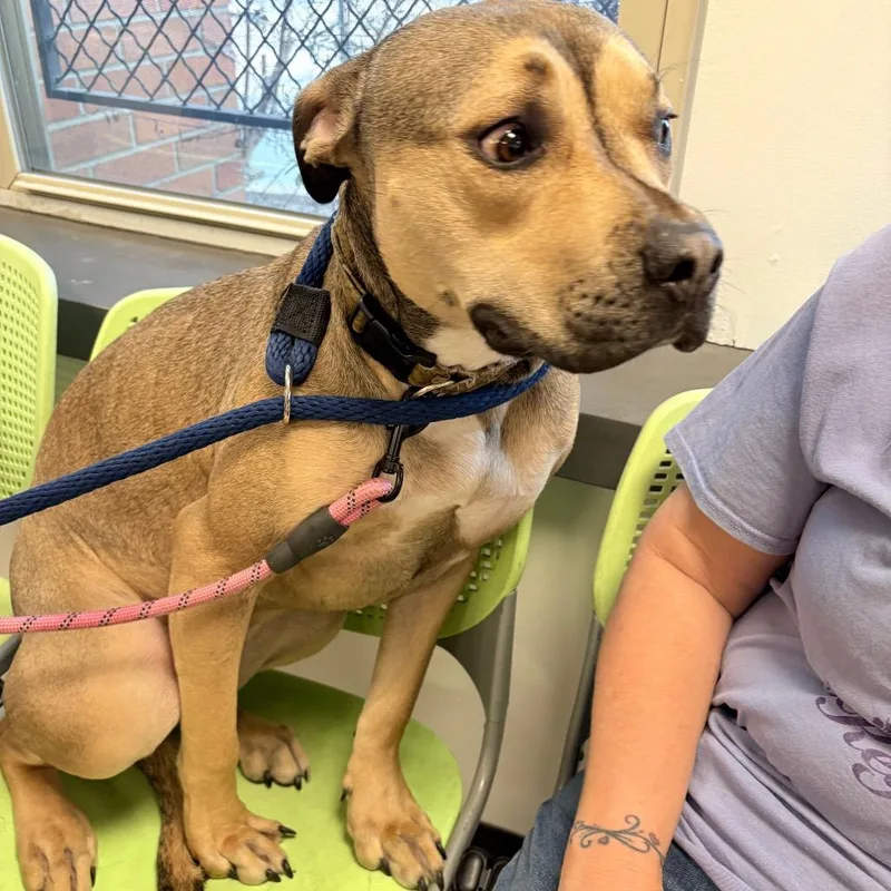 Savanna Smiles thumbnail 2