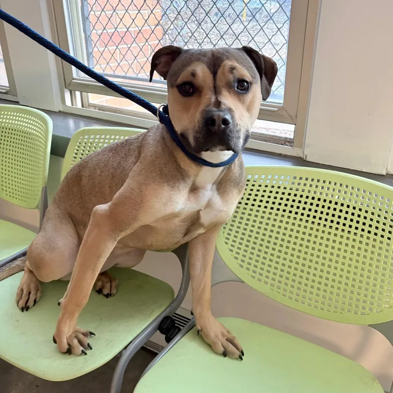 Savanna Smiles thumbnail 3