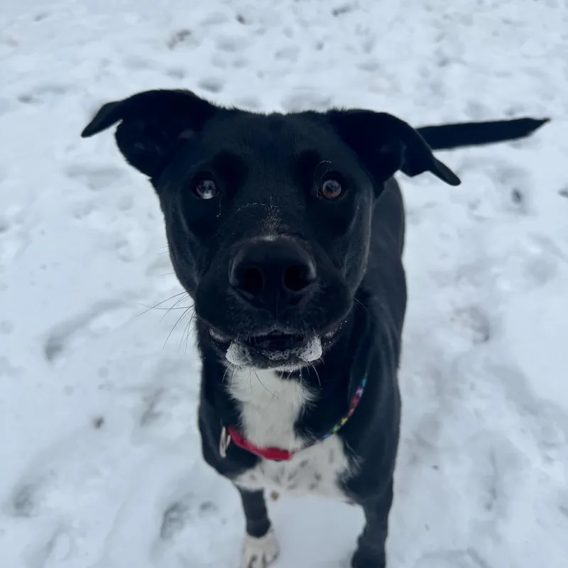 Shark Bait thumbnail 3