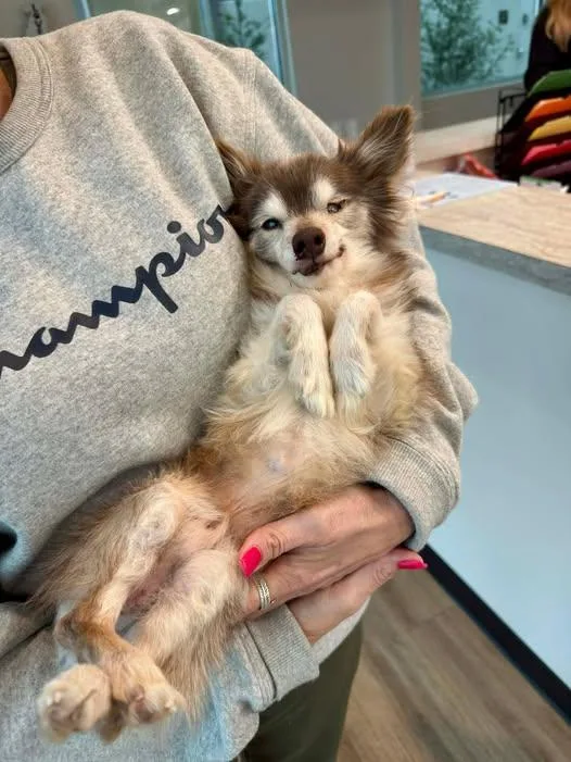 Petey Pablo thumbnail 4