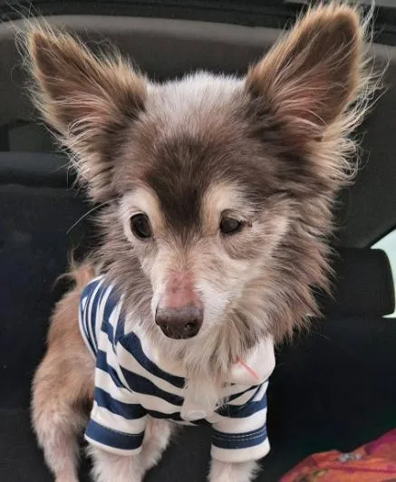 Petey Pablo thumbnail 5