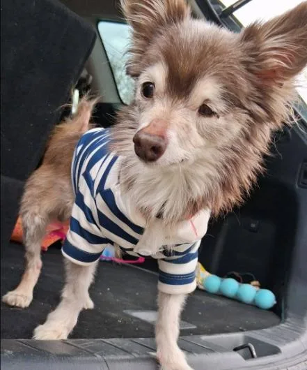 Petey Pablo thumbnail 6