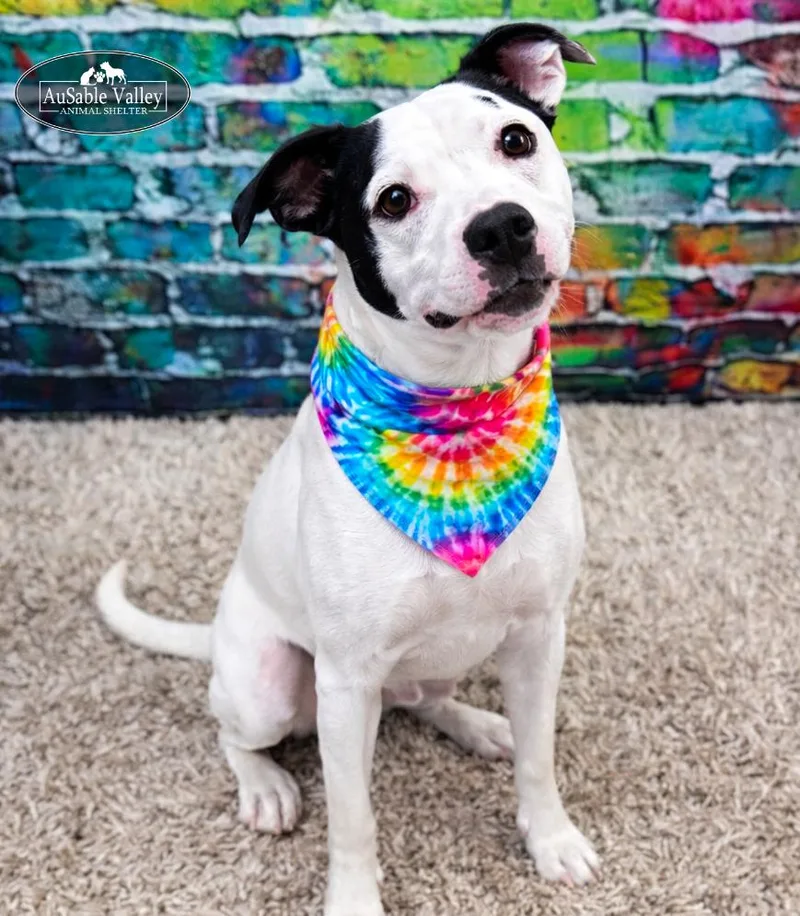 Charlie Chaplin thumbnail 2