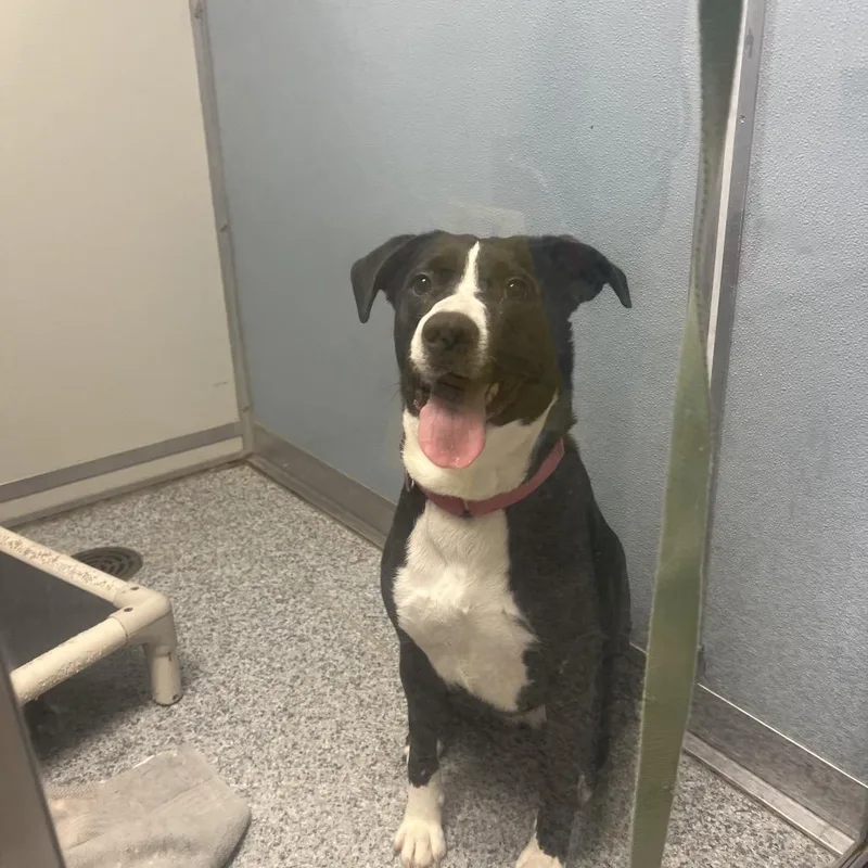 Bonnaroo thumbnail 2