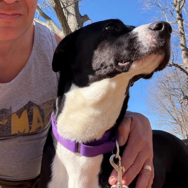 Bonnaroo thumbnail 3