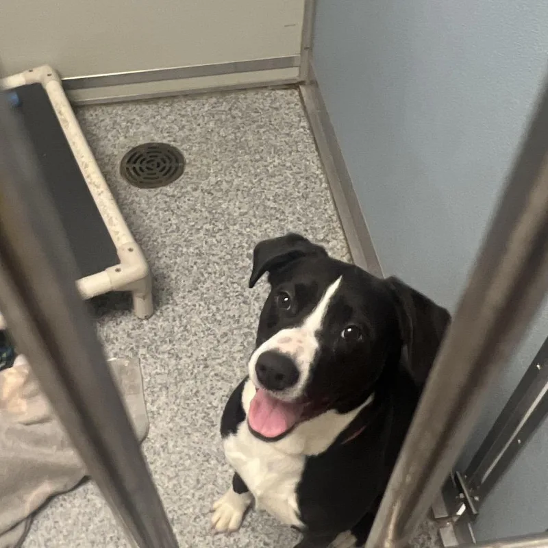 Bonnaroo thumbnail 4