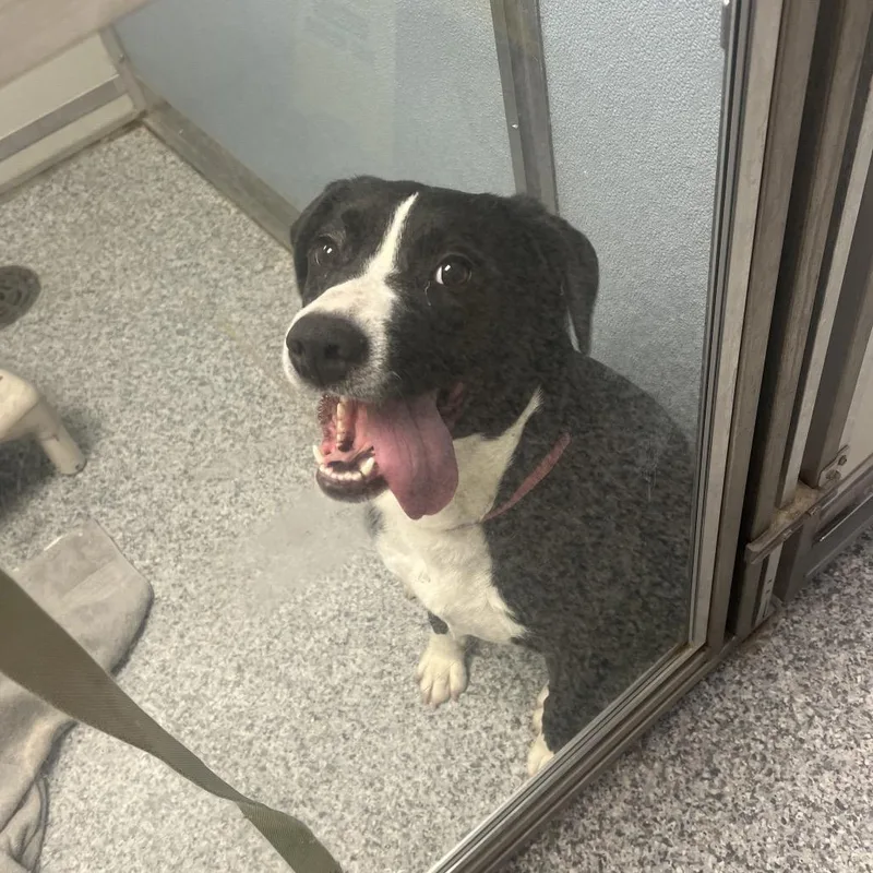 Bonnaroo thumbnail 6