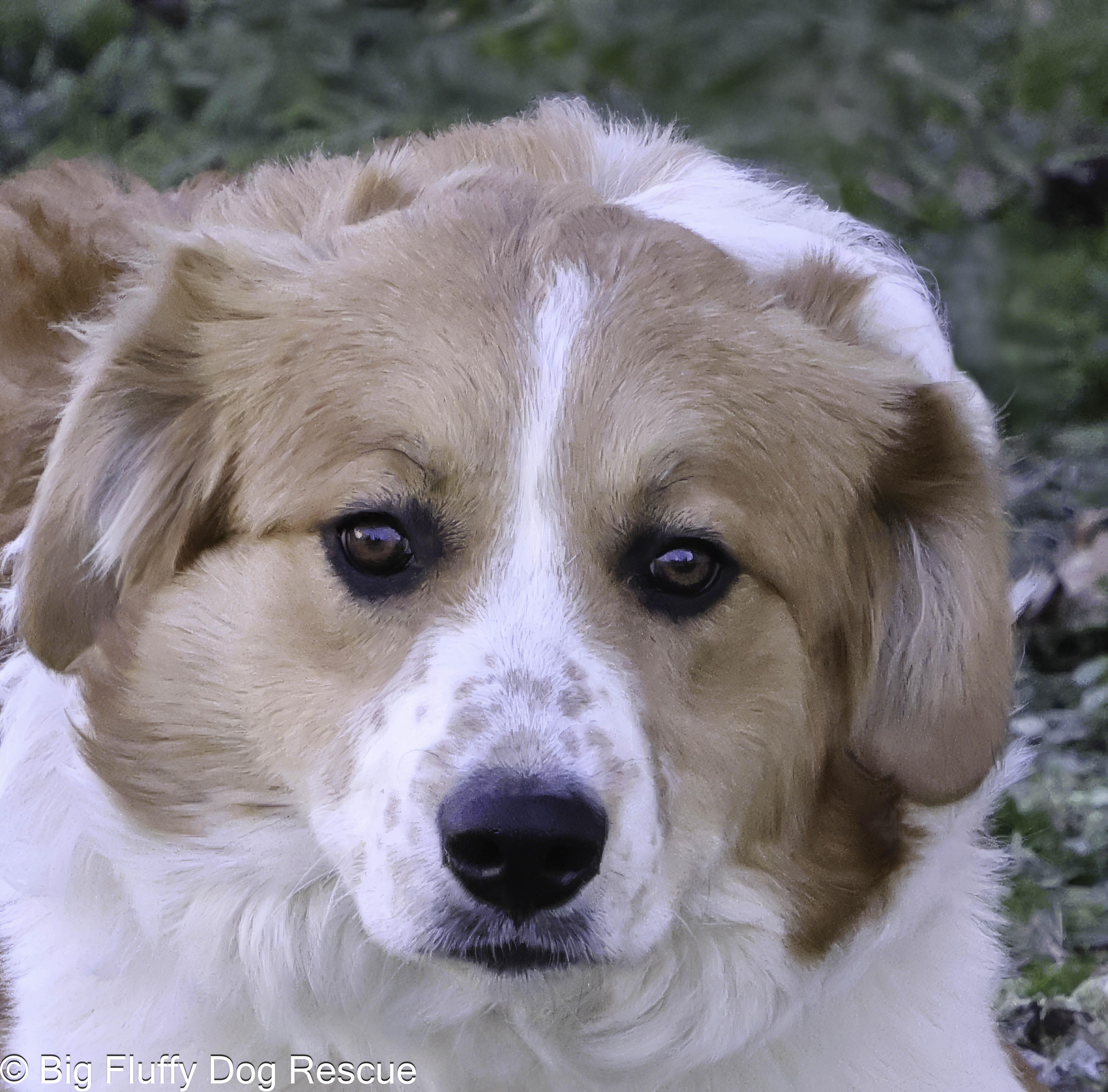 Annelise thumbnail 2