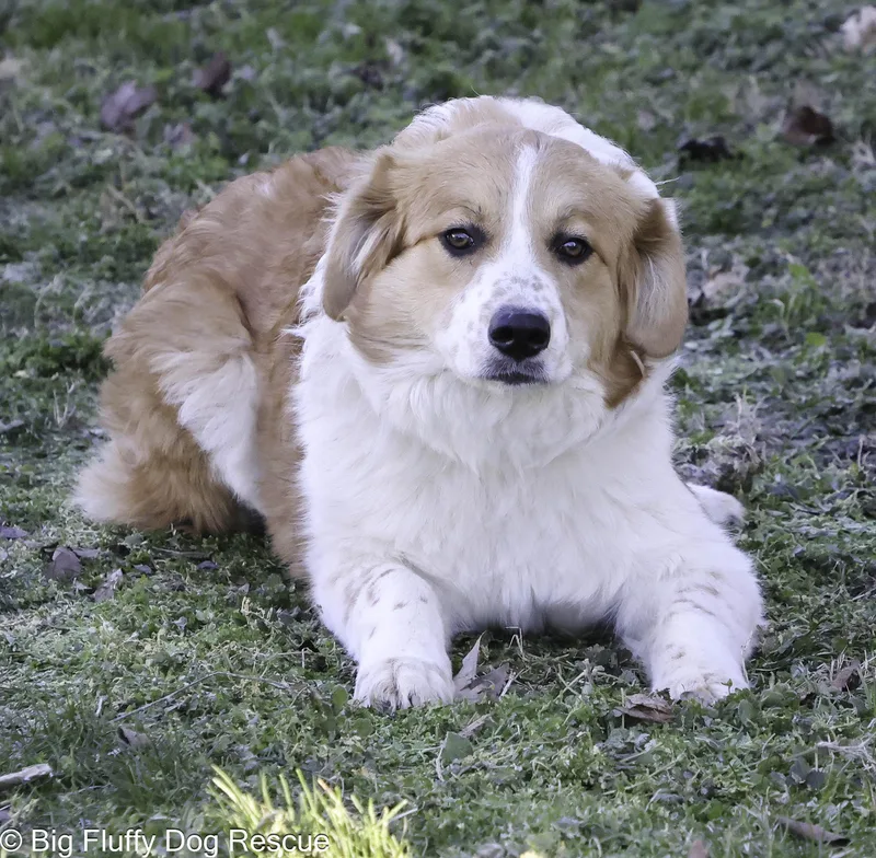 Annelise thumbnail 3