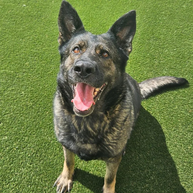 Arie Aka Patty thumbnail 2