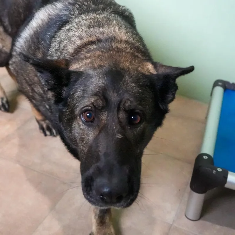 Arie Aka Patty thumbnail 3