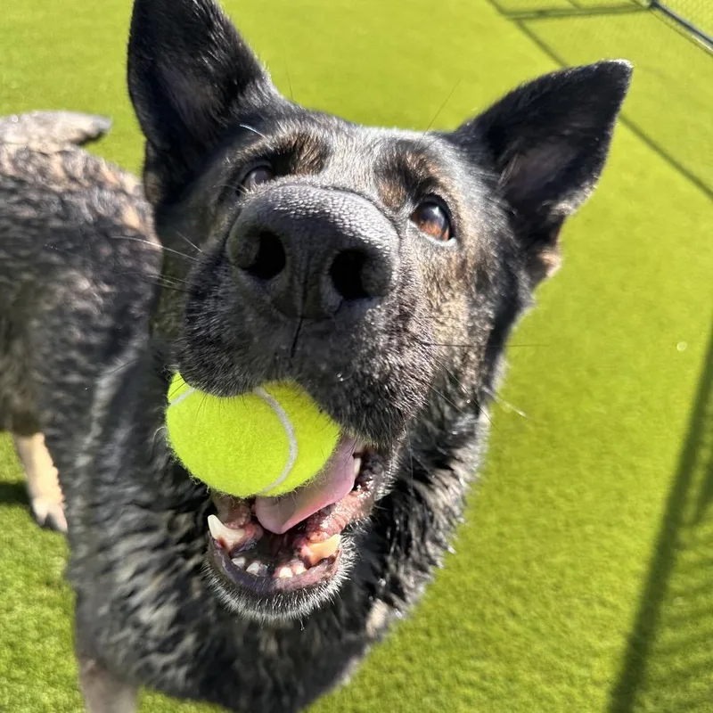 Arie Aka Patty thumbnail 5