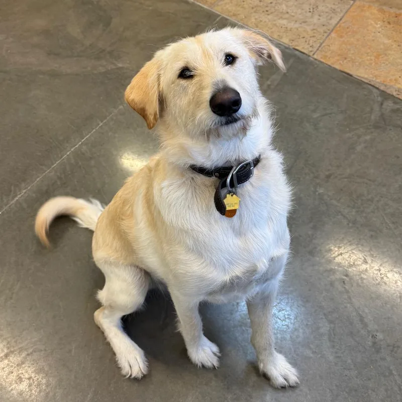 Winston Stoney thumbnail 2