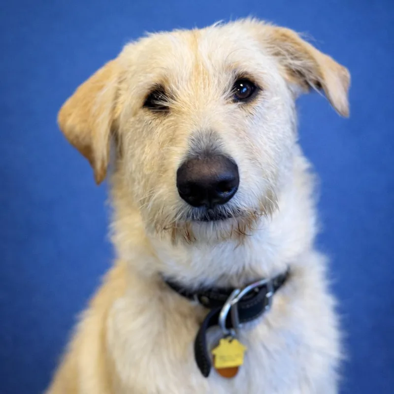 Winston Stoney thumbnail 3