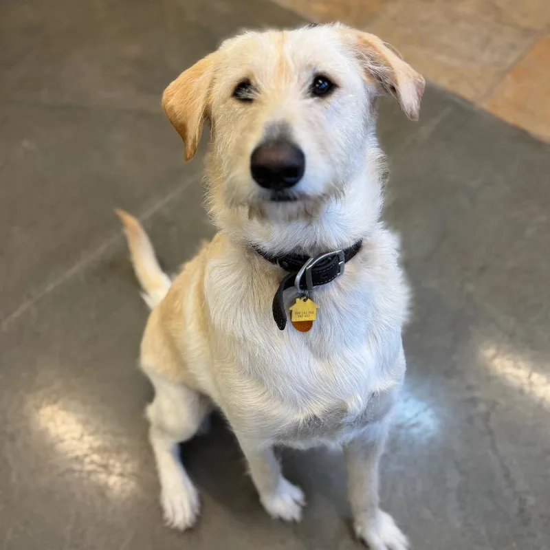 Winston Stoney thumbnail 4