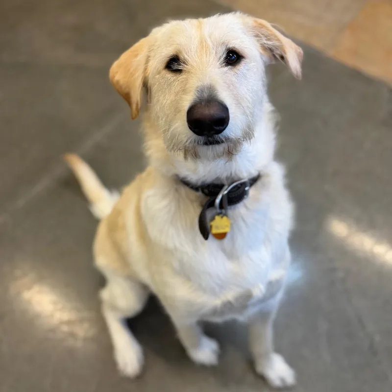 Winston Stoney thumbnail 5