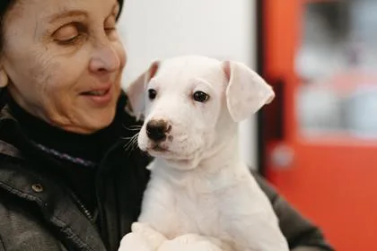 Bluey Fka Pup thumbnail 2