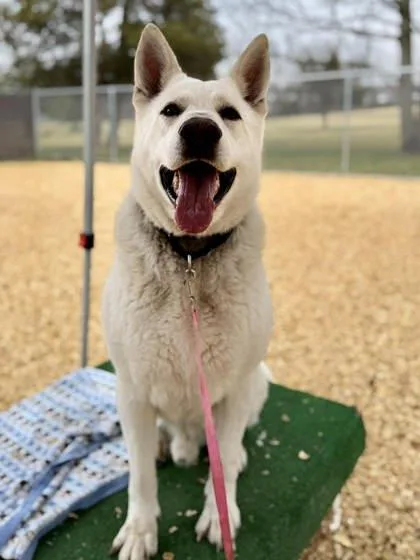 Wolfgang thumbnail 2