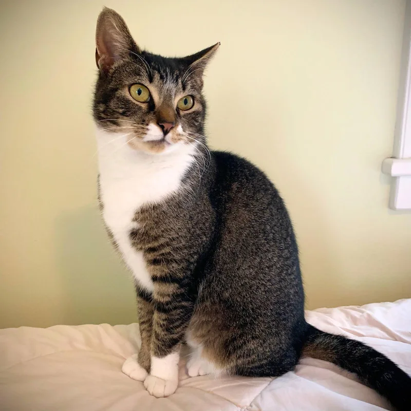 Mommy Nora thumbnail 2