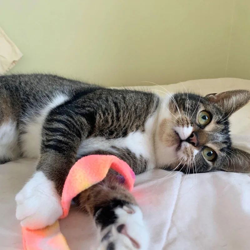 Mommy Nora thumbnail 3