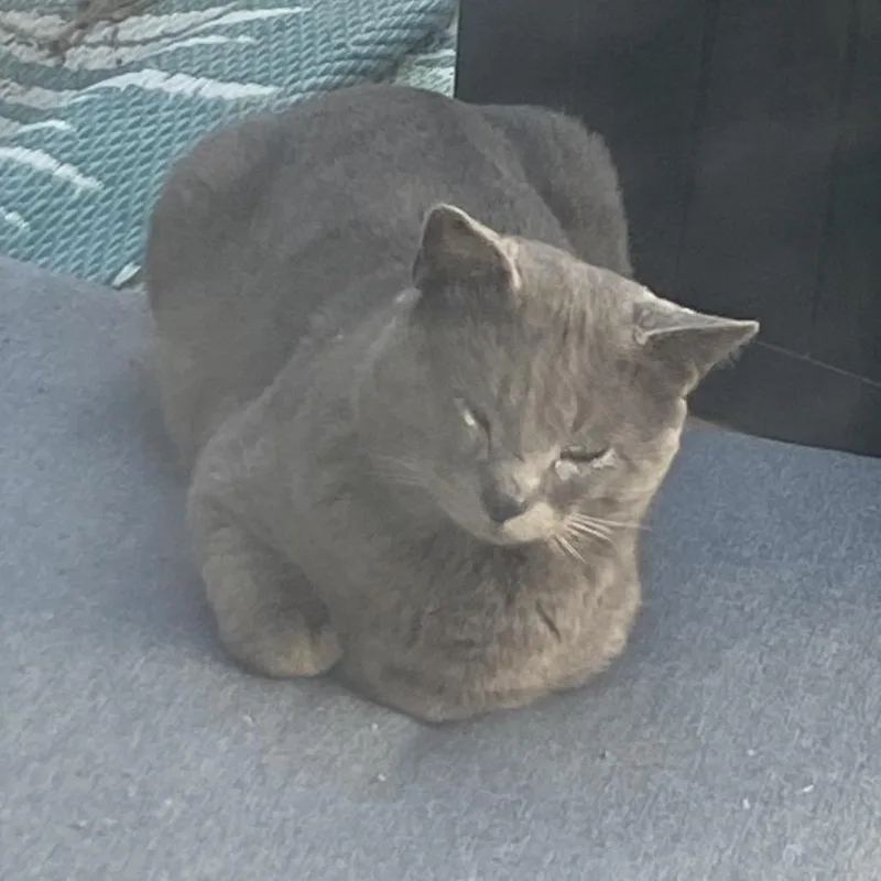 Found Albert Lea thumbnail 2