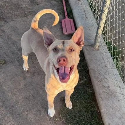 Snuggles thumbnail 2