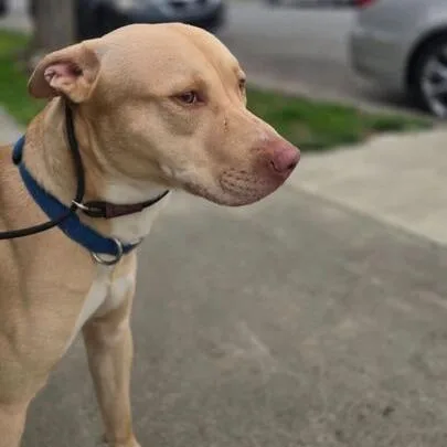 Snuggles thumbnail 4