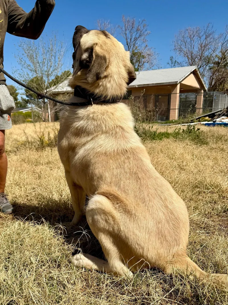 Rob Thomas thumbnail 3