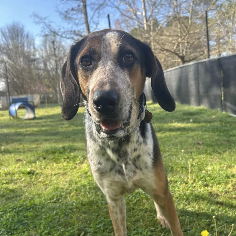 Gertrude thumbnail 2