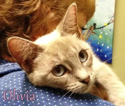 Olivia photo 1