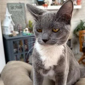 Speckles thumbnail 2