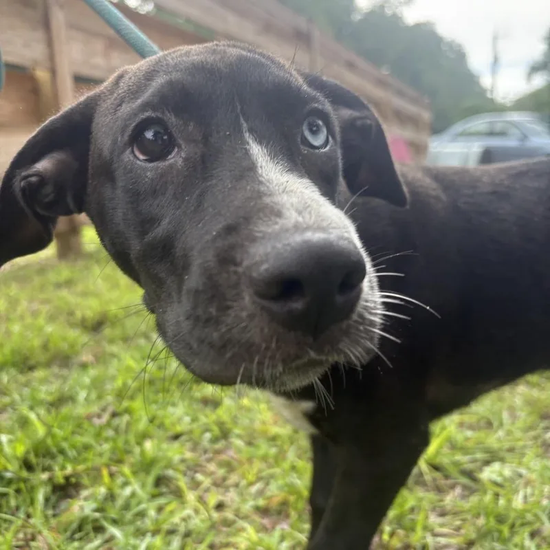 Nicki "oakley" thumbnail 2