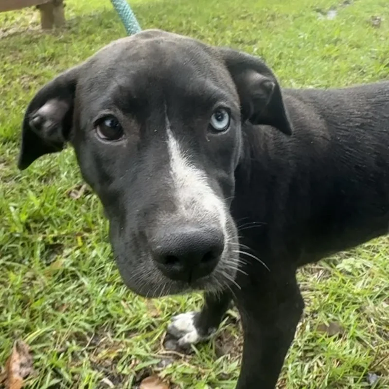 Nicki "oakley" thumbnail 3